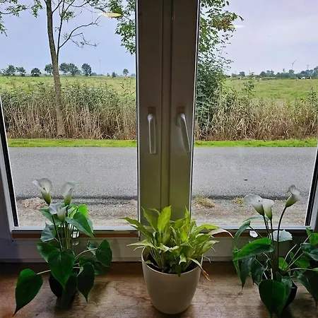 Haus Wallapampa Im Gruenen Entspannen Feriehus Landscheide