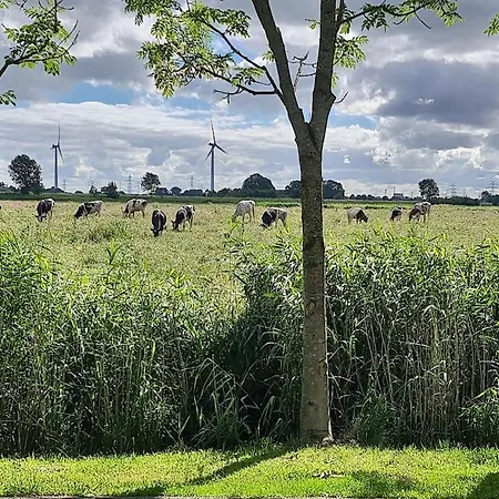 Feriehus Haus Wallapampa Im Gruenen Entspannen Landscheide